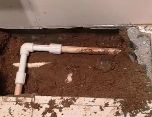 防城港市测漏水哪家好