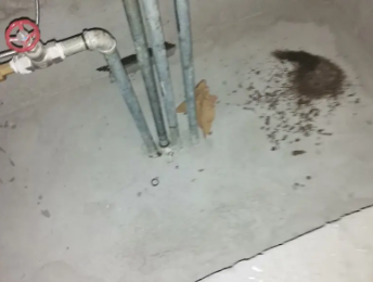 防城港市卫生间测漏水价格明细