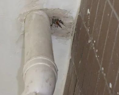 防城港市漏水检测哪家好